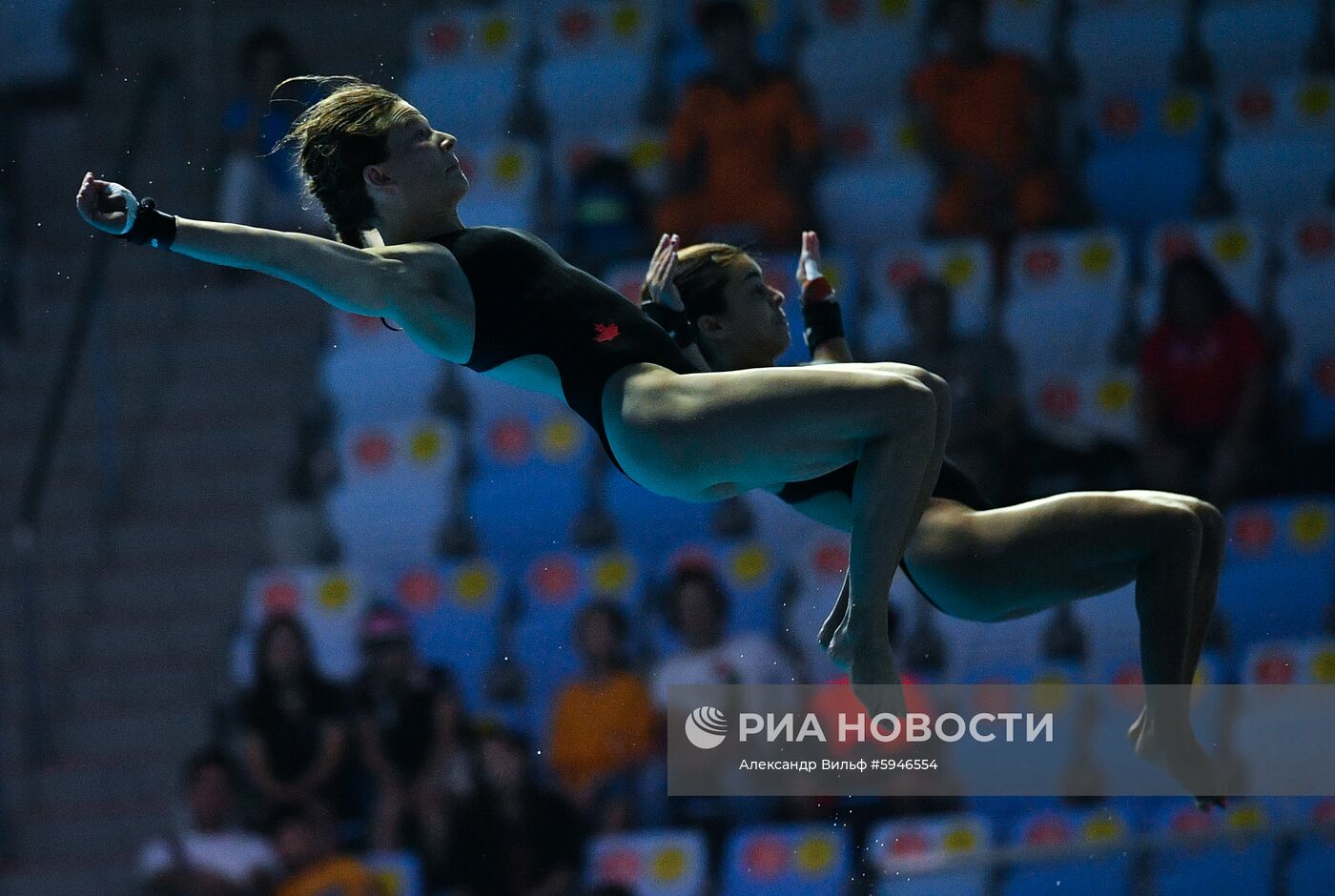 Чемпионат мира FINA 2019. Синхронные прыжки в воду. Женщины. Вышка 10 м