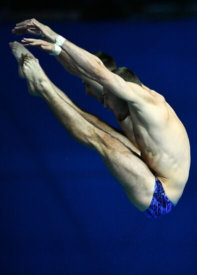 Чемпионат мира FINA 2019. Синхронные прыжки в воду. Мужчины. Вышка 10 м