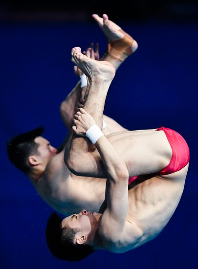 Чемпионат мира FINA 2019. Синхронные прыжки в воду. Мужчины. Вышка 10 м