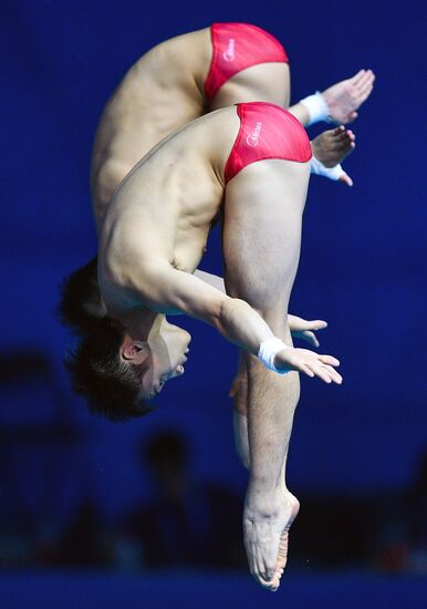 Чемпионат мира FINA 2019. Синхронные прыжки в воду. Мужчины. Вышка 10 м