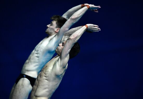 Чемпионат мира FINA 2019. Синхронные прыжки в воду. Мужчины. Вышка 10 м