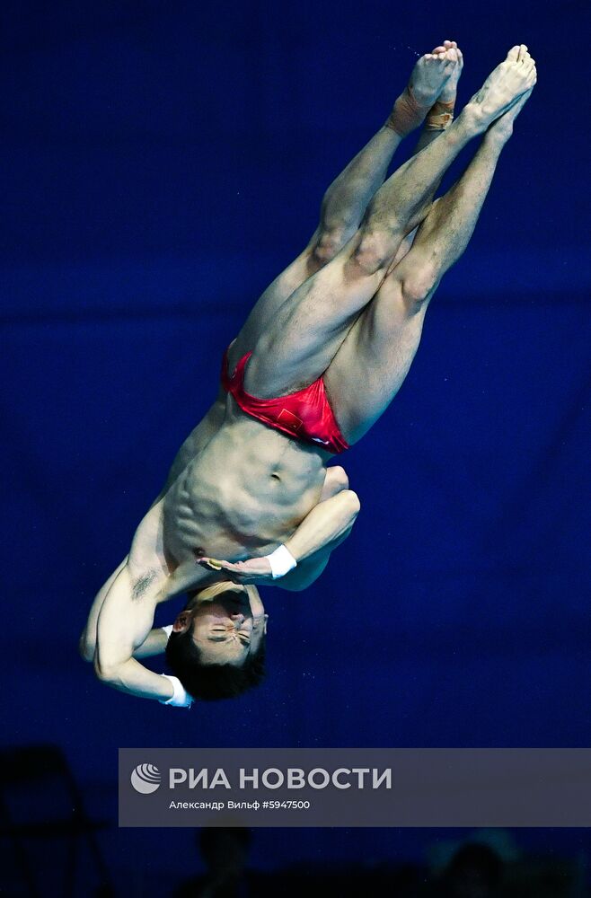 Чемпионат мира FINA 2019. Синхронные прыжки в воду. Мужчины. Вышка 10 м