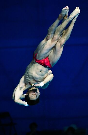 Чемпионат мира FINA 2019. Синхронные прыжки в воду. Мужчины. Вышка 10 м