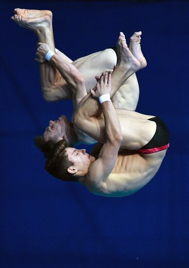 Чемпионат мира FINA 2019. Синхронные прыжки в воду. Мужчины. Вышка 10 м