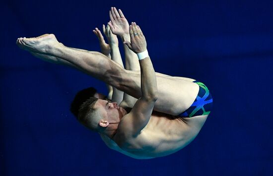 Чемпионат мира FINA 2019. Синхронные прыжки в воду. Мужчины. Вышка 10 м