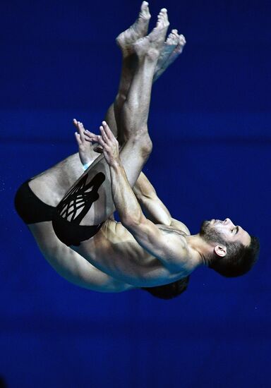 Чемпионат мира FINA 2019. Синхронные прыжки в воду. Мужчины. Вышка 10 м