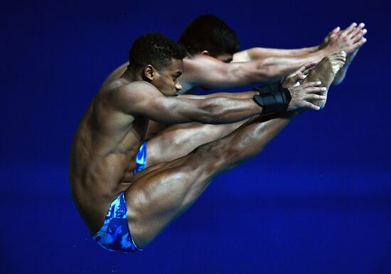 Чемпионат мира FINA 2019. Синхронные прыжки в воду. Мужчины. Вышка 10 м