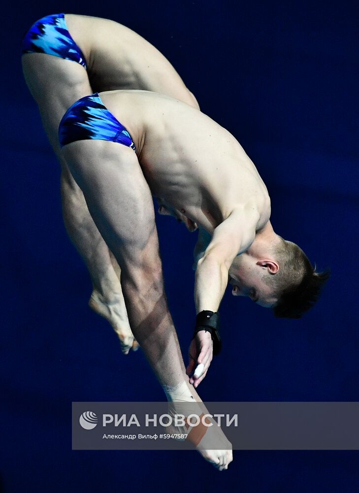 Чемпионат мира FINA 2019. Синхронные прыжки в воду. Мужчины. Вышка 10 м