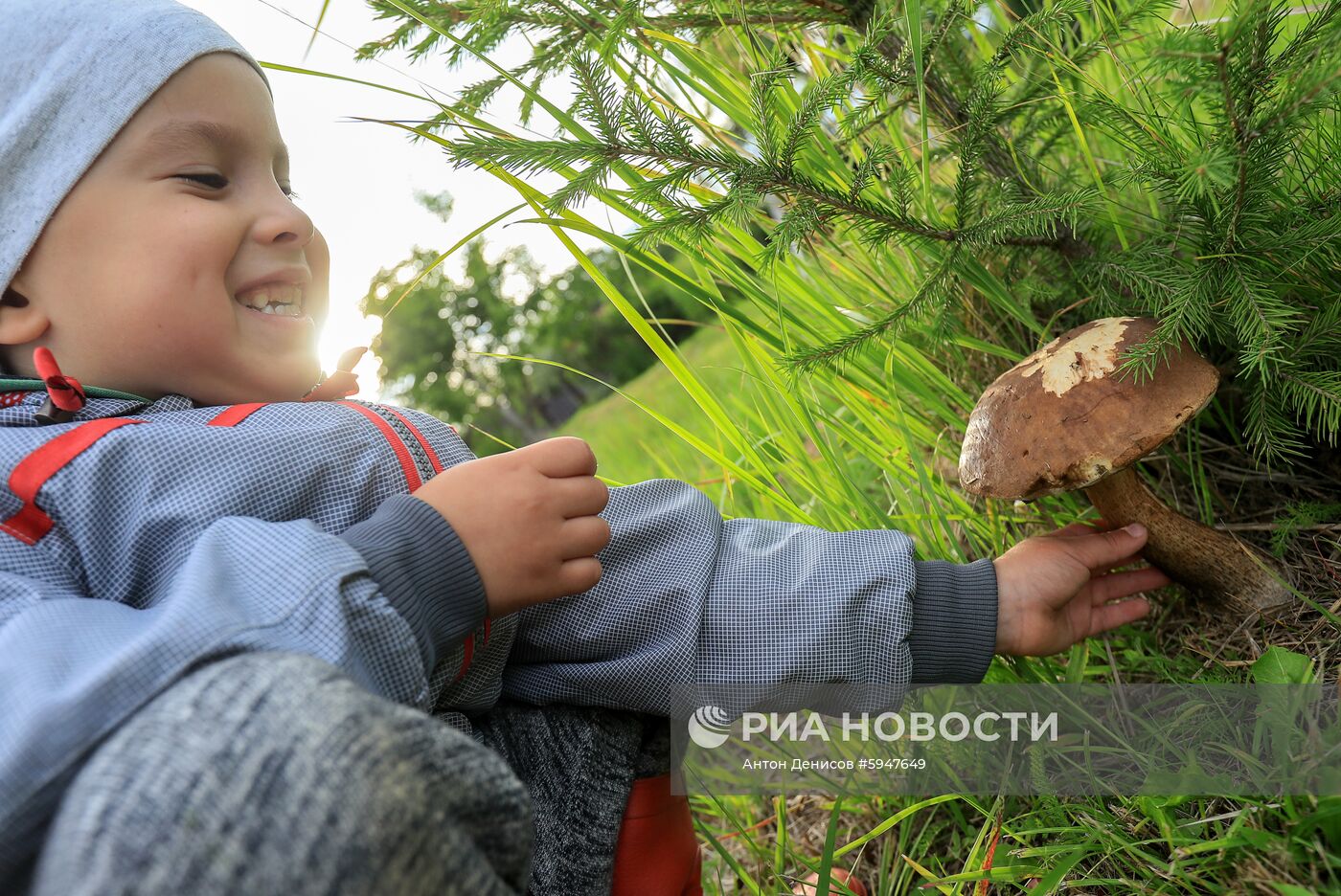 Сбор грибов в Подмосковье