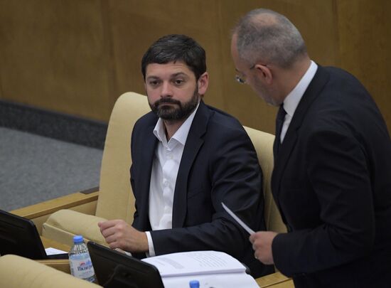 Пленарное заседание Госдумы РФ