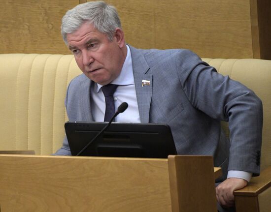 Пленарное заседание Госдумы РФ