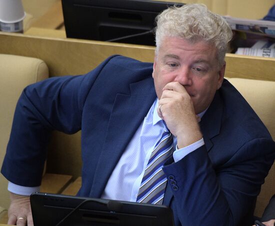 Пленарное заседание Госдумы РФ