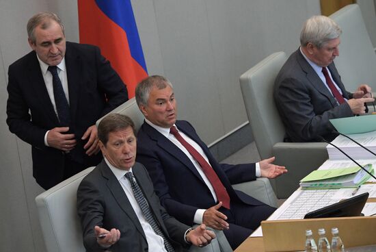 Пленарное заседание Госдумы РФ