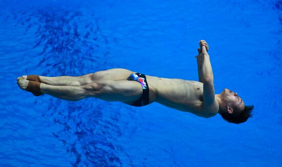 Чемпионат мира FINA 2019. Прыжки в воду. Мужчины. Трамплин 3 м