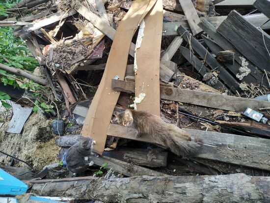 Последствия паводка в Иркутской области