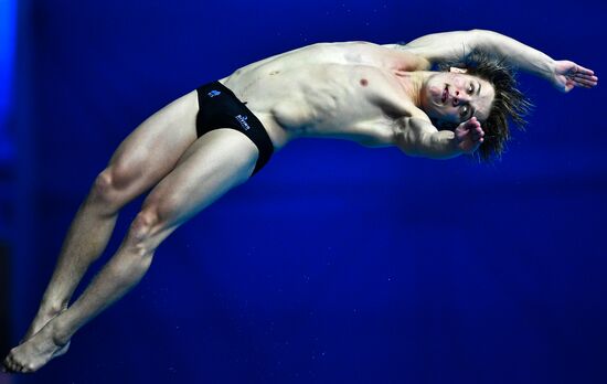 Чемпионат мира FINA 2019. Прыжки в воду. Мужчины. Вышка 10 м