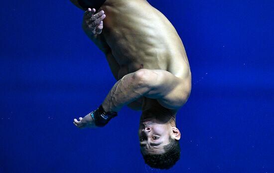 Чемпионат мира FINA 2019. Прыжки в воду. Мужчины. Вышка 10 м