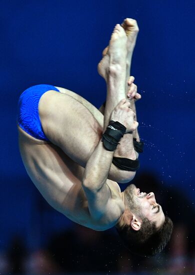 Чемпионат мира FINA 2019. Прыжки в воду. Мужчины. Вышка 10 м