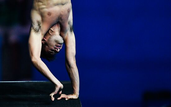 Чемпионат мира FINA 2019. Прыжки в воду. Мужчины. Вышка 10 м