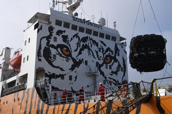 Один из кораблей "Доброфлота" получил тигриную окраску