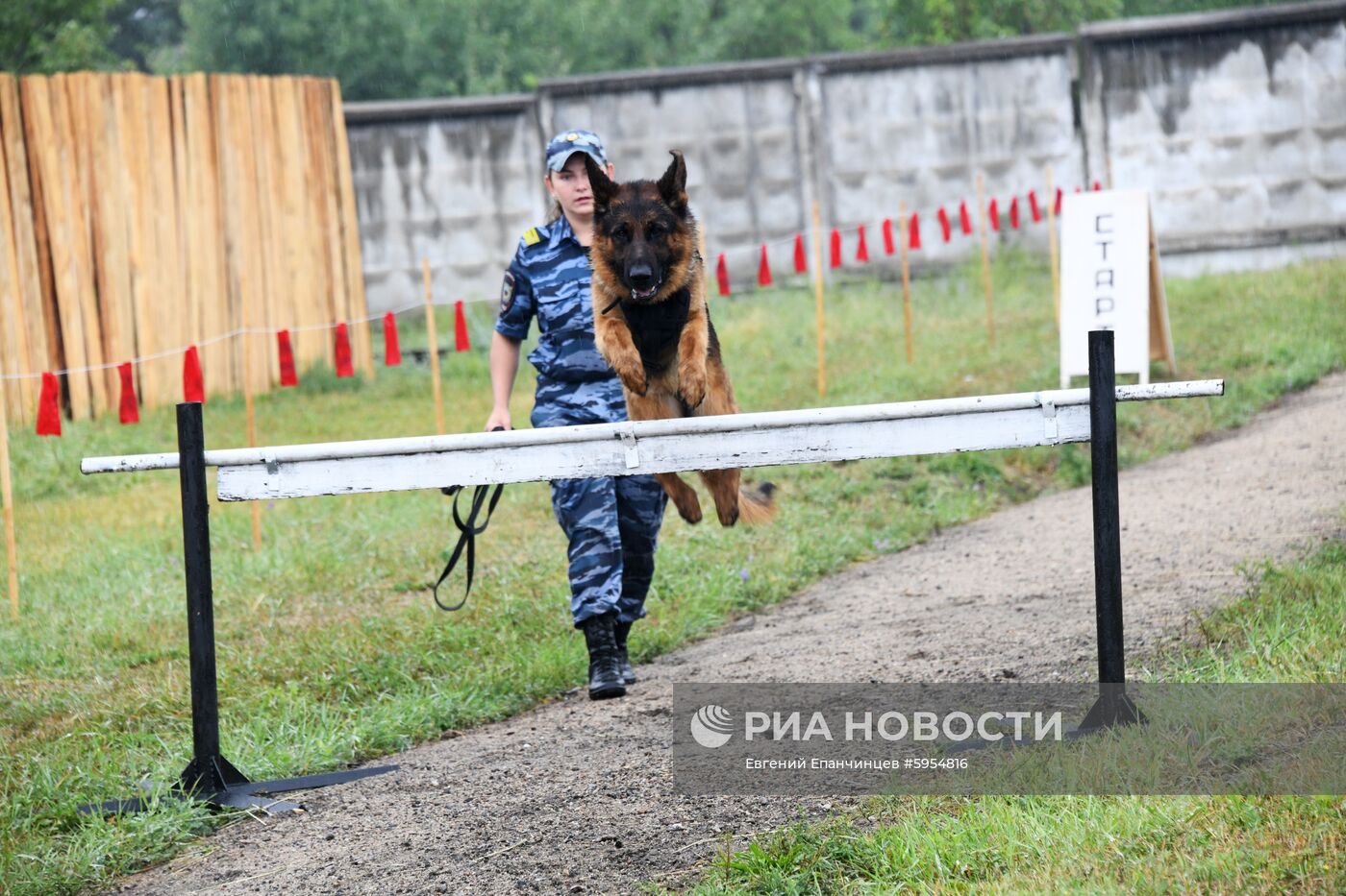 Соревнования кинологической службы в Забайкалье 