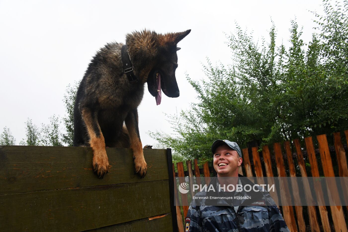 Соревнования кинологической службы в Забайкалье 