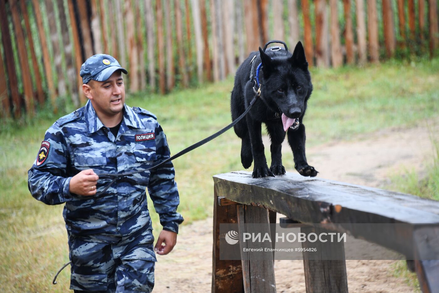 Соревнования кинологической службы в Забайкалье 