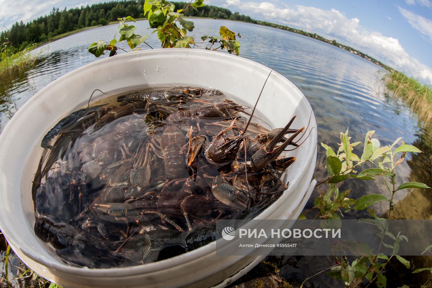 Лов раков в Рязанской области