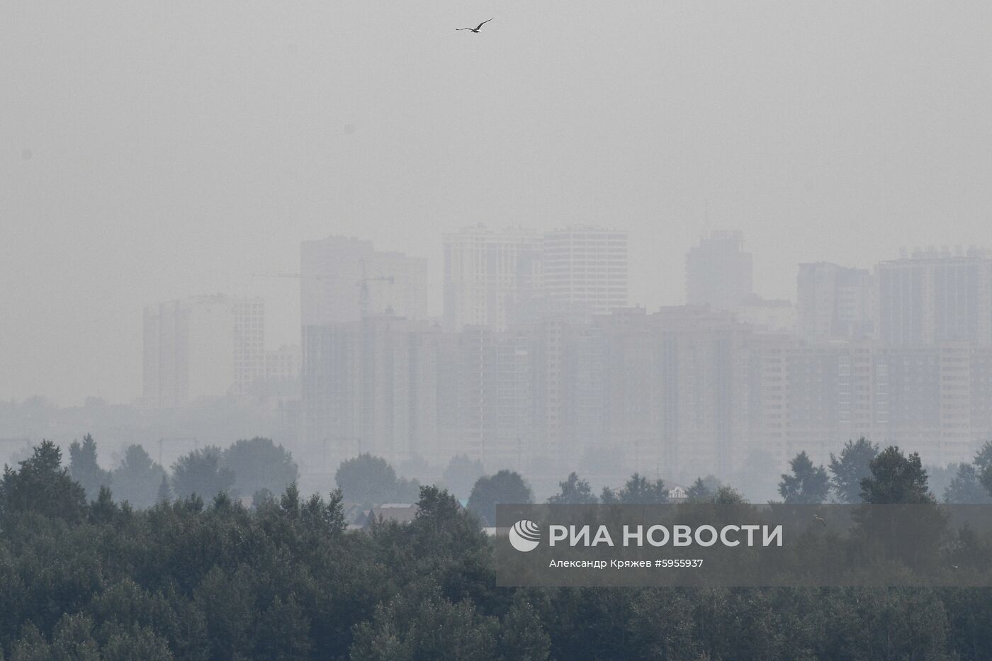 Смог в Новосибирске