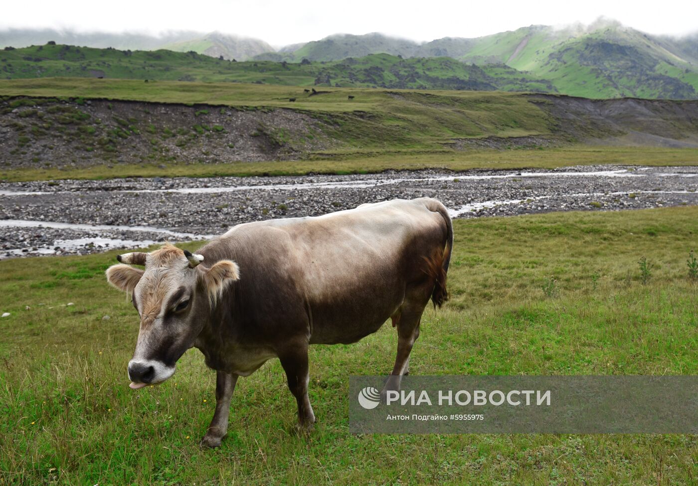 Базовый лагерь на Эльбрусе