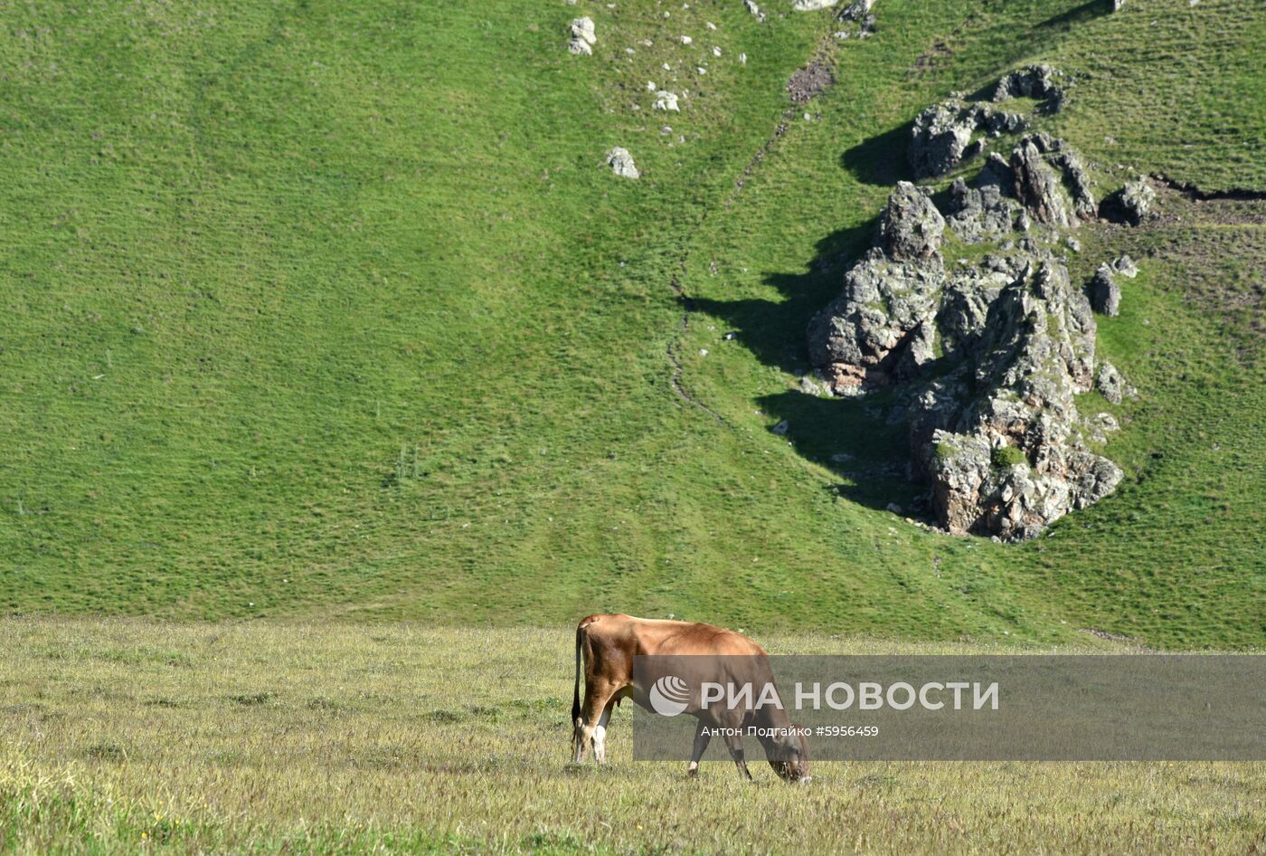 Базовый лагерь на Эльбрусе