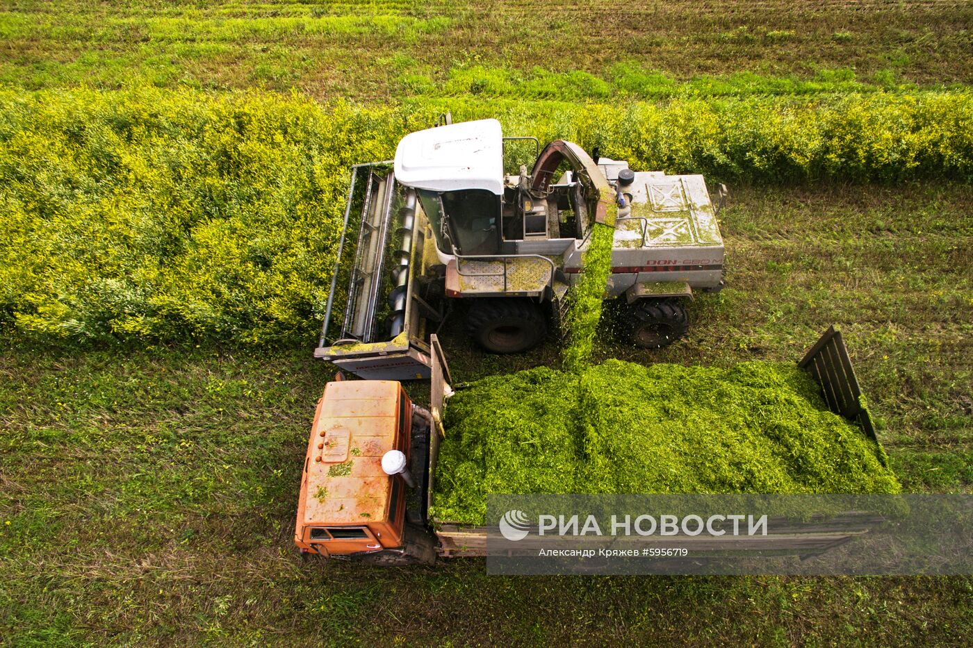 Сельскохозяйственные работы в Новосибирской области