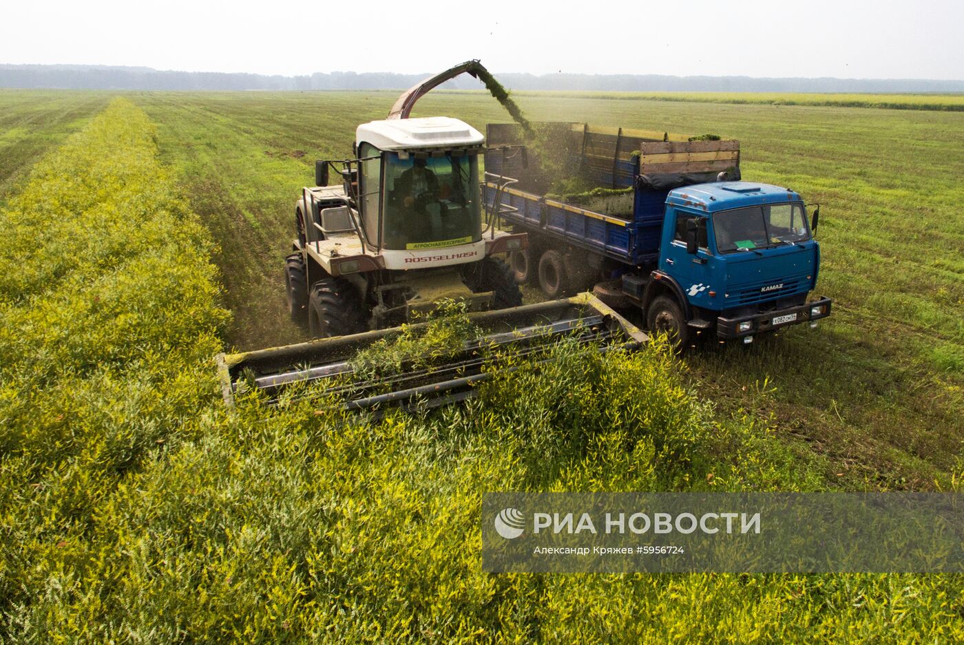 Сельскохозяйственные работы в Новосибирской области