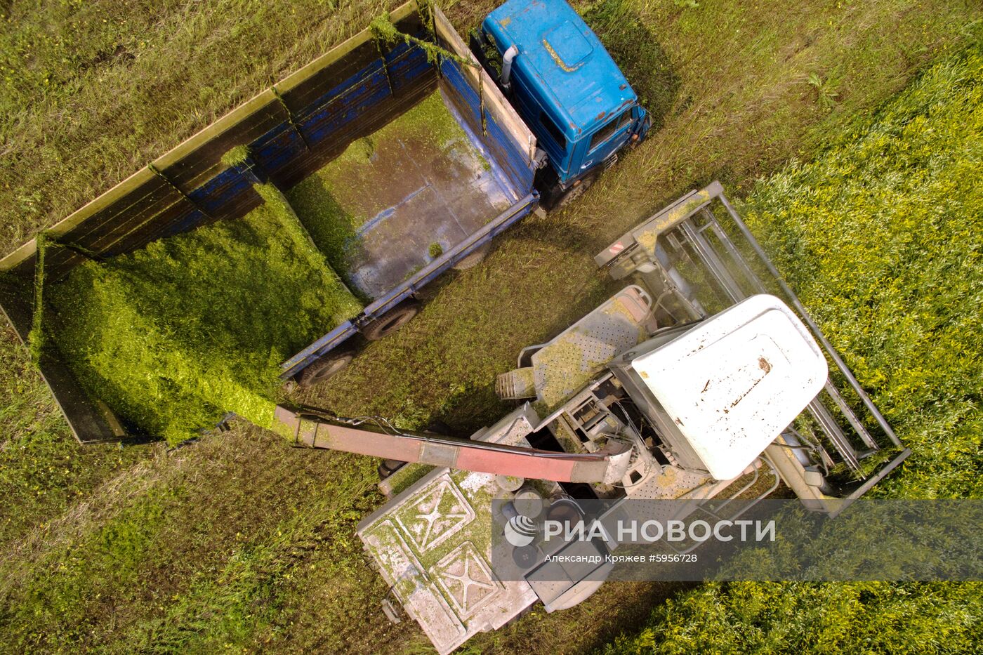 Сельскохозяйственные работы в Новосибирской области