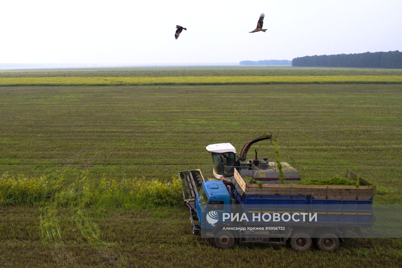 Сельскохозяйственные работы в Новосибирской области