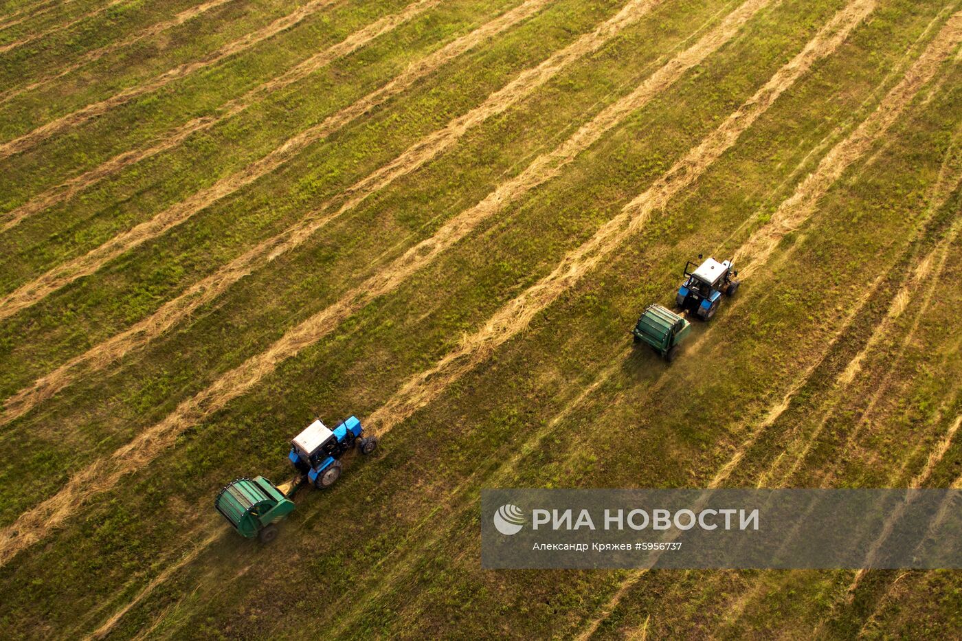 Сельскохозяйственные работы в Новосибирской области | РИА Новости Медиабанк