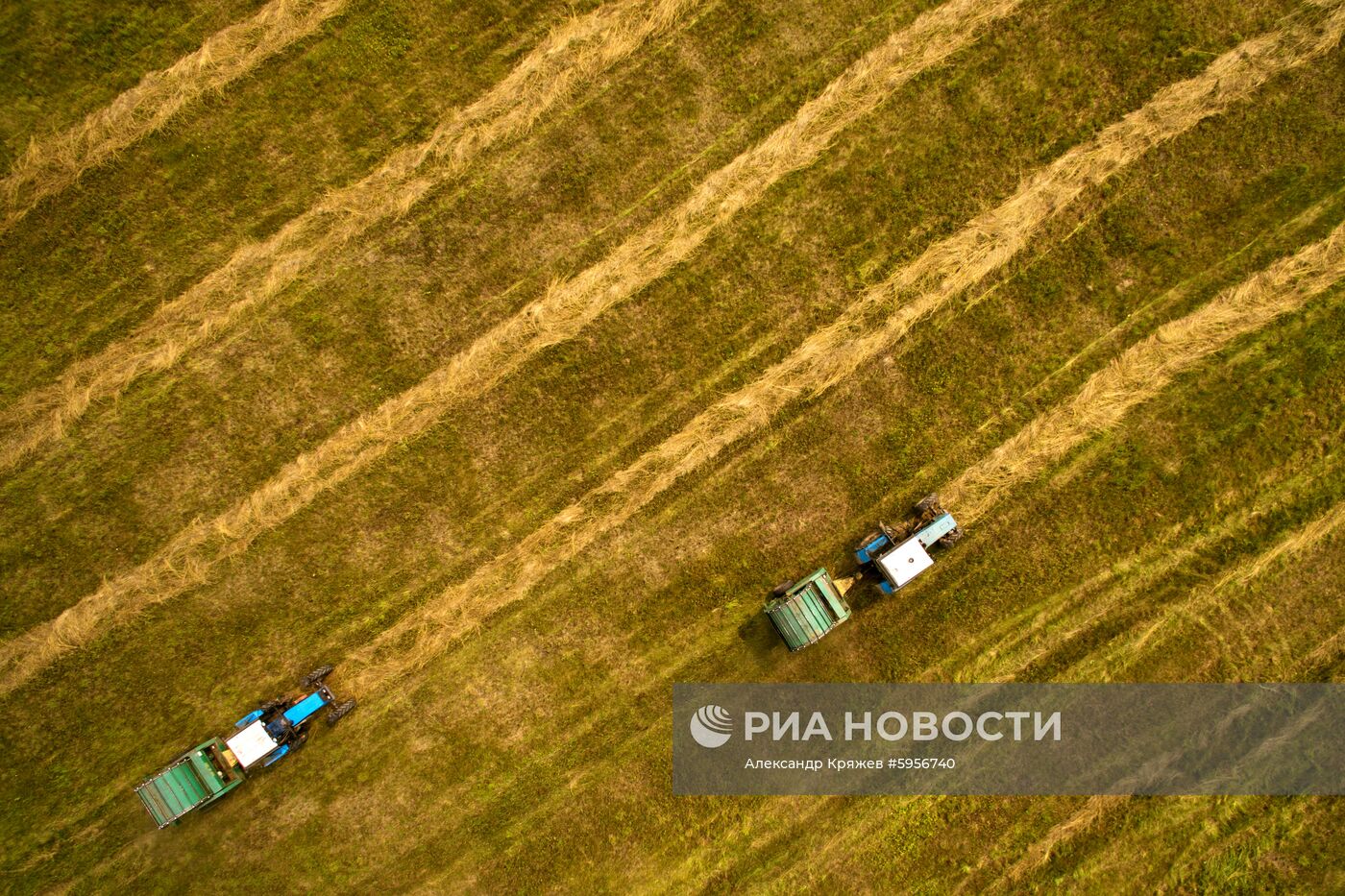Сельскохозяйственные работы в Новосибирской области