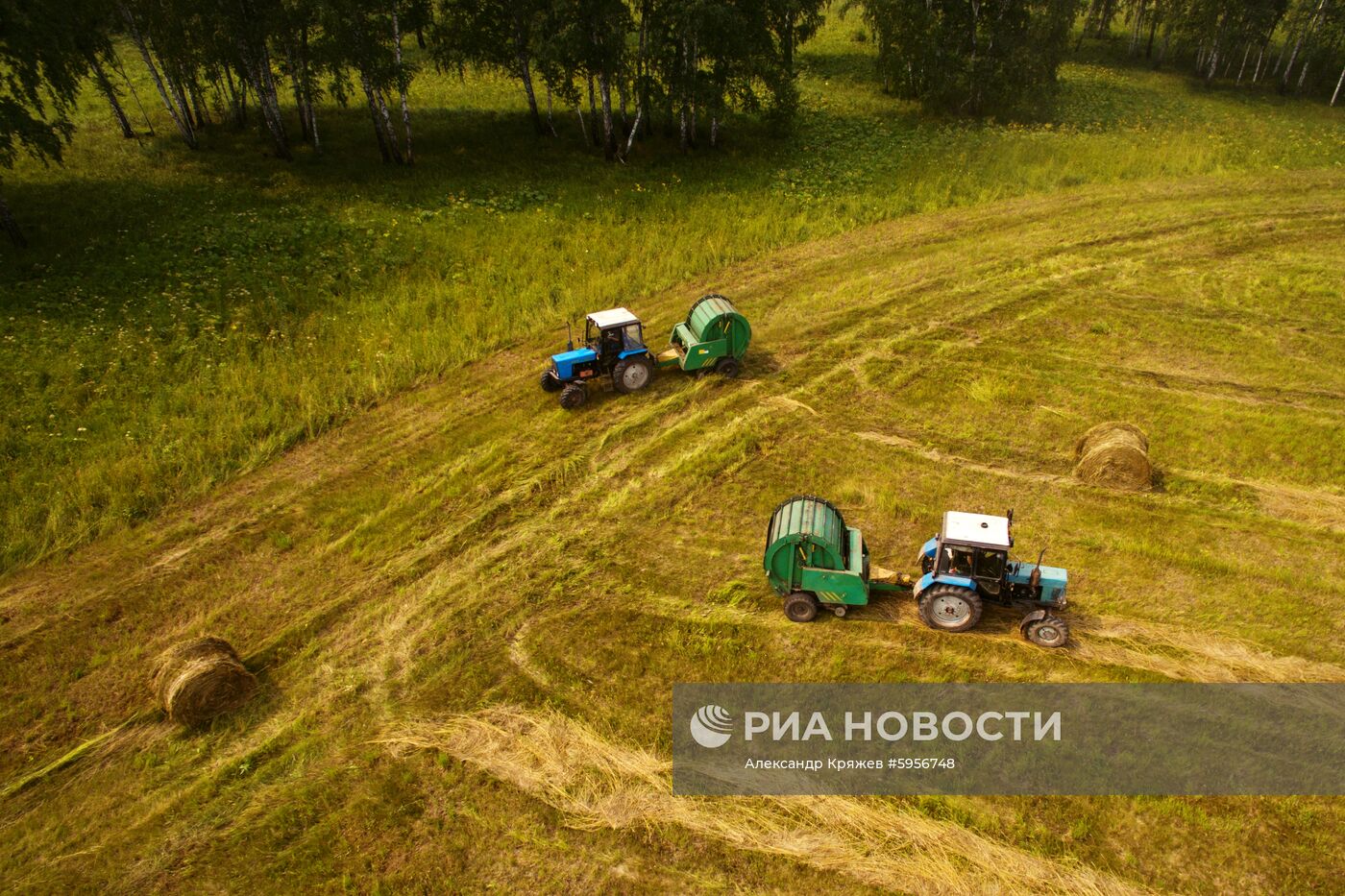 Сельскохозяйственные работы в Новосибирской области | РИА Новости Медиабанк