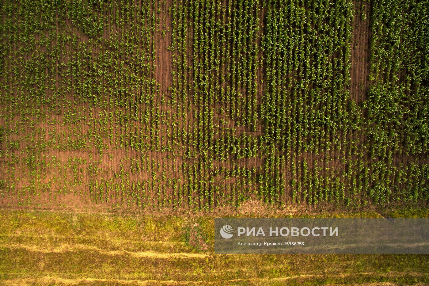 Сельскохозяйственные работы в Новосибирской области