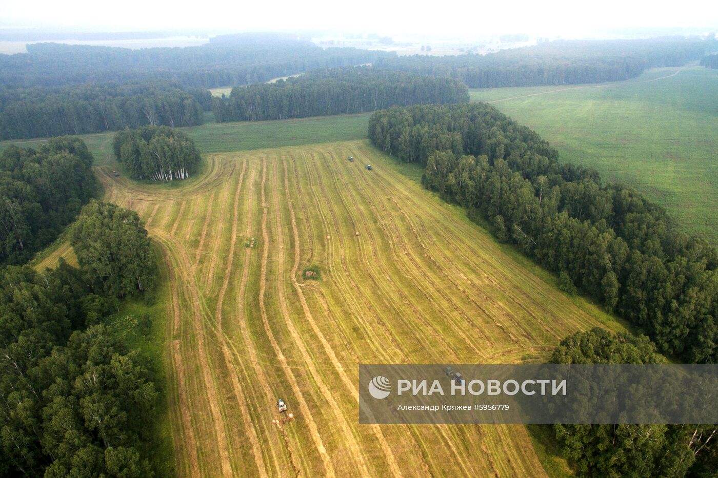 Сельскохозяйственные работы в Новосибирской области