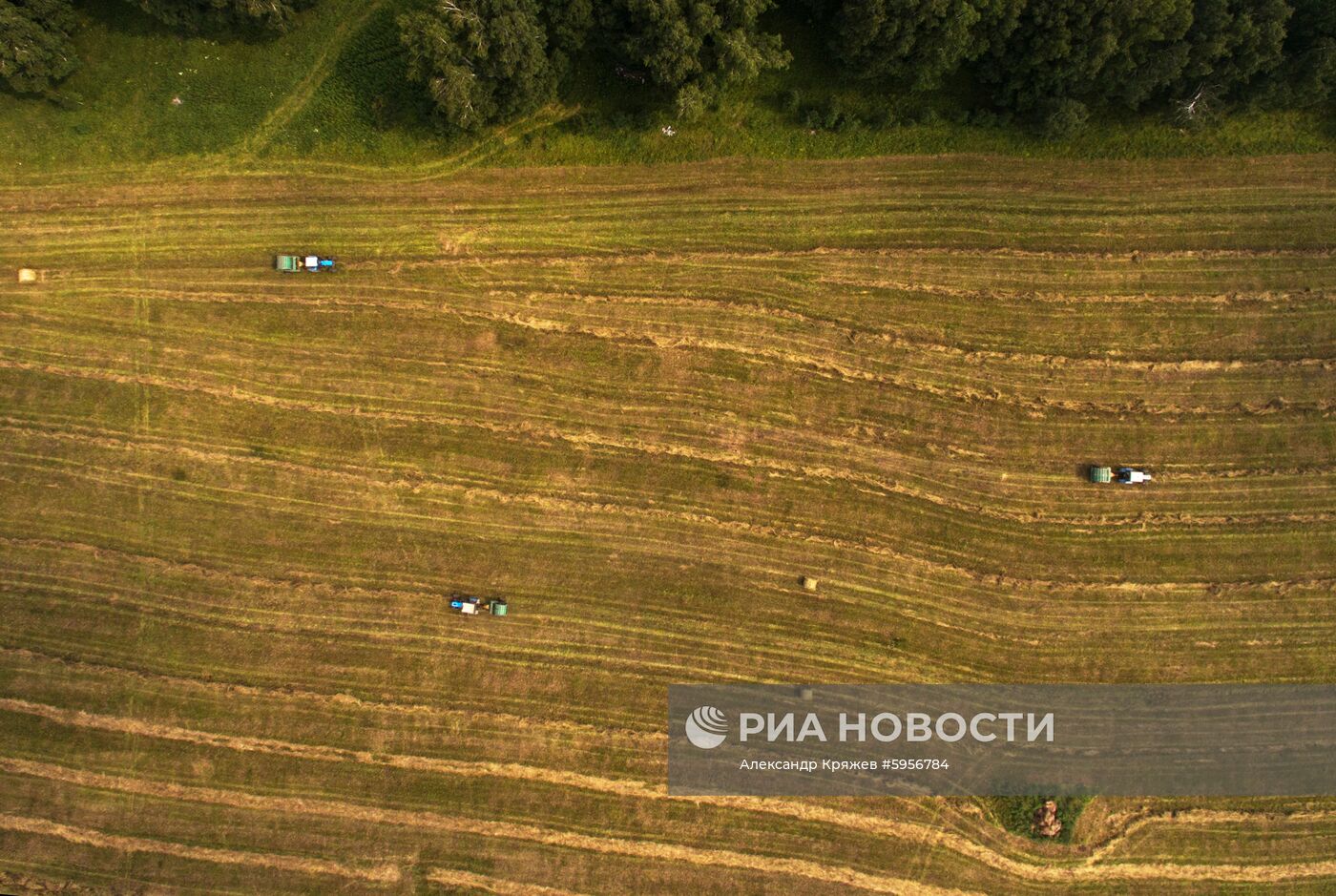 Сельскохозяйственные работы в Новосибирской области