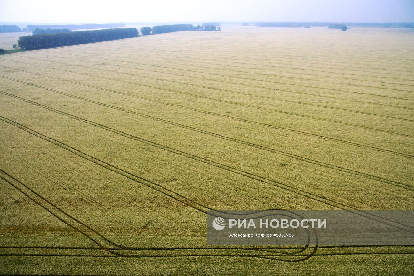 Сельскохозяйственные работы в Новосибирской области