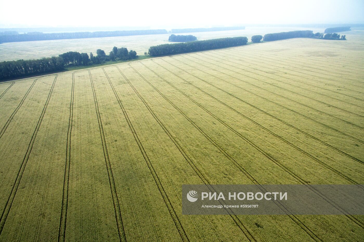 Сельскохозяйственные работы в Новосибирской области