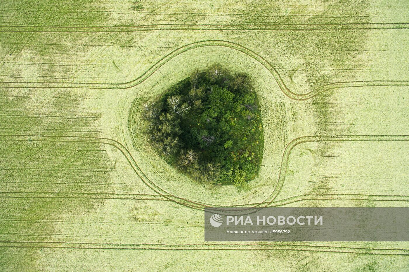 Сельскохозяйственные работы в Новосибирской области
