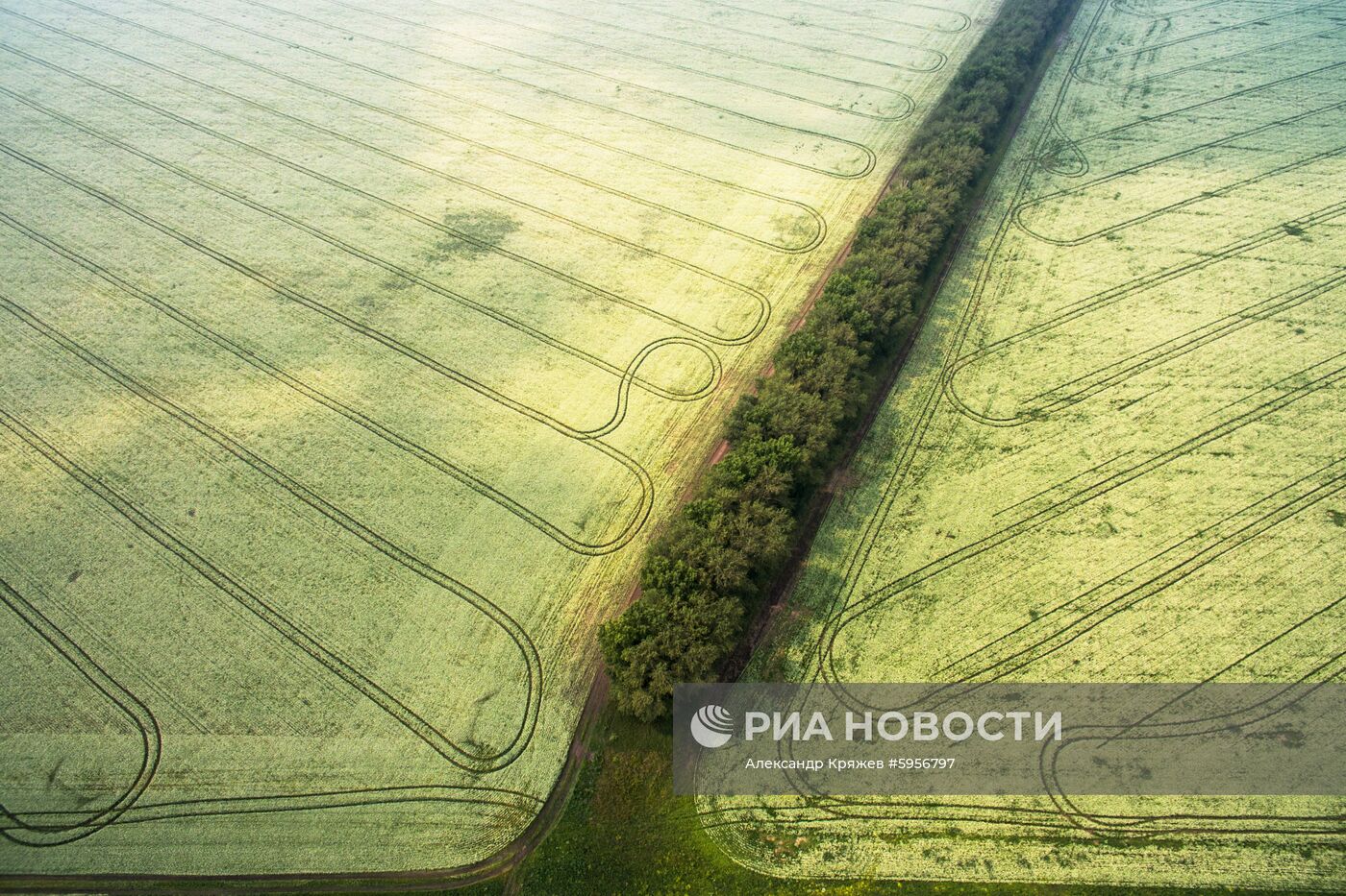 Сельскохозяйственные работы в Новосибирской области