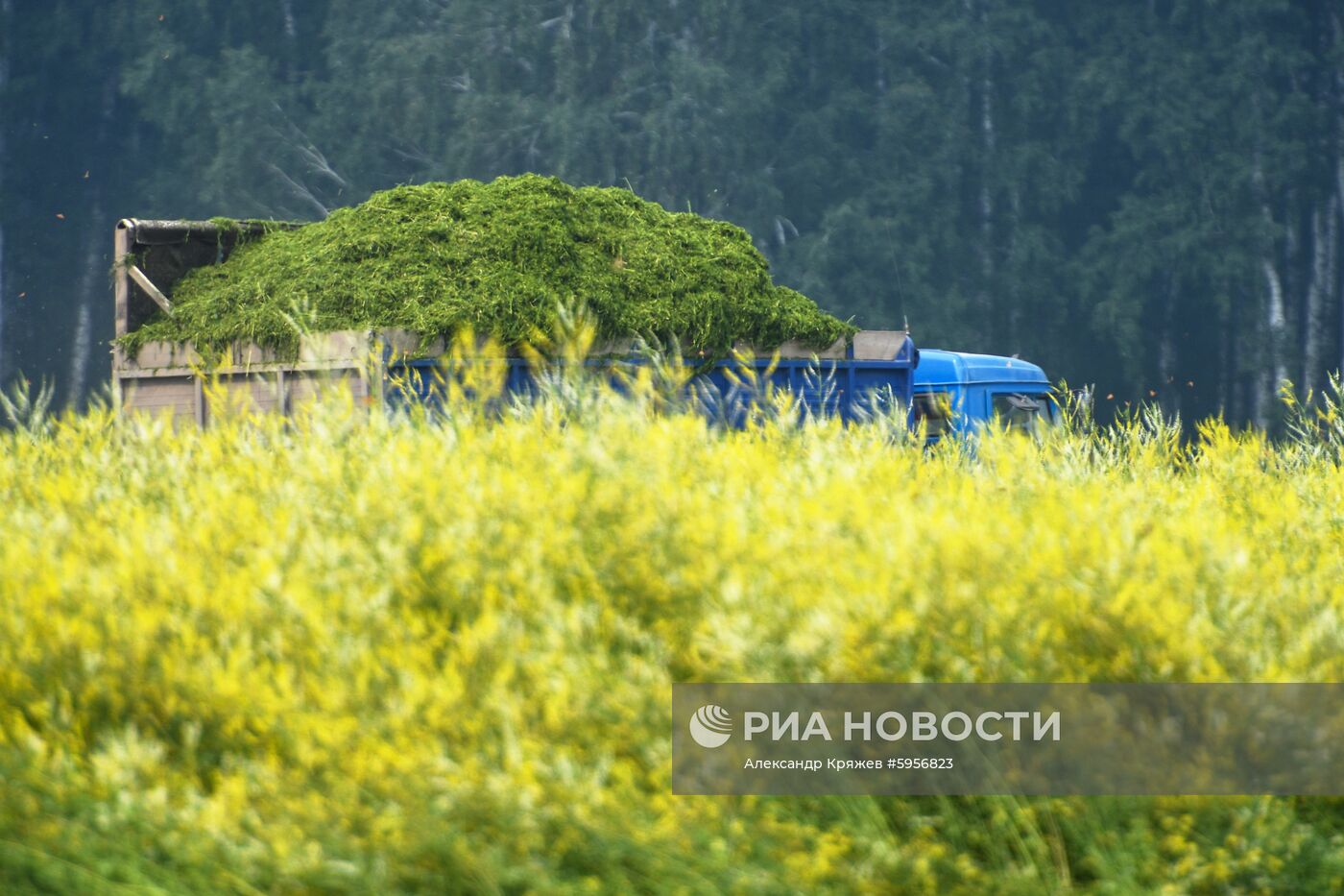 Сельскохозяйственные работы в Новосибирской области