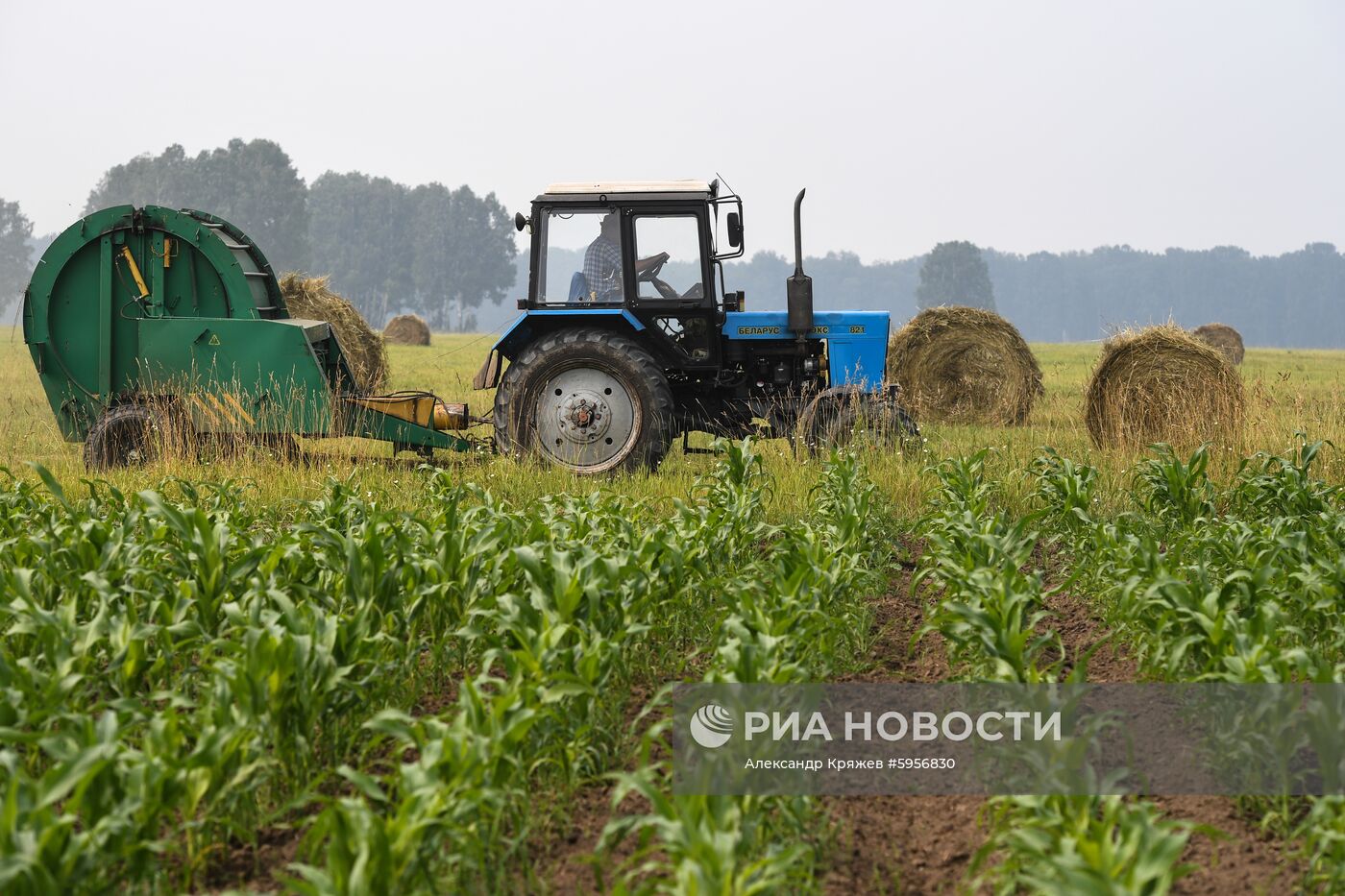 Сельскохозяйственные работы в Новосибирской области