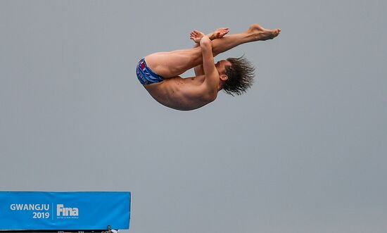 Чемпионат мира FINA 2019. Хайдайвинг