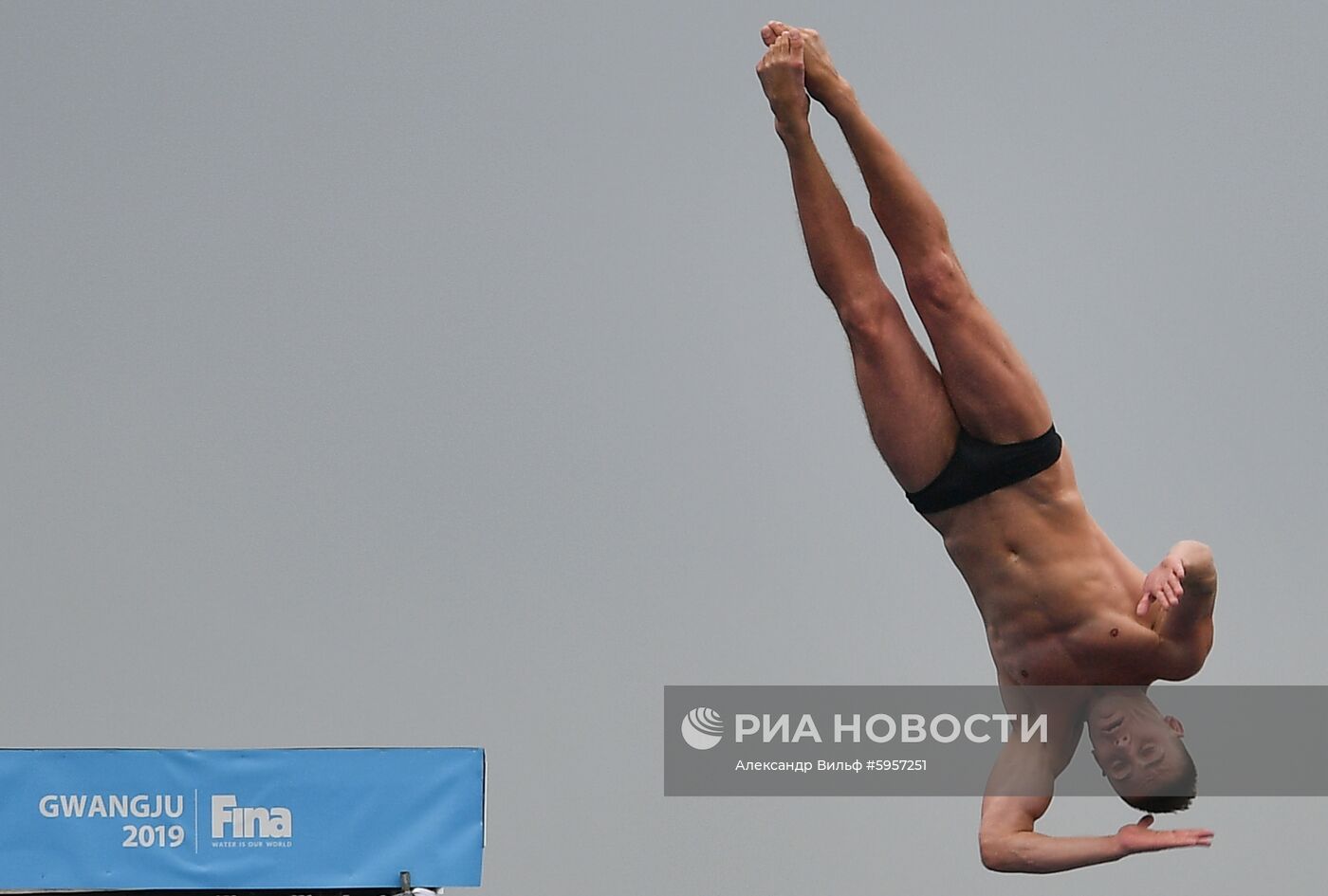 Чемпионат мира FINA 2019. Хайдайвинг