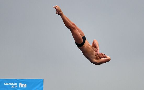 Чемпионат мира FINA 2019. Хайдайвинг